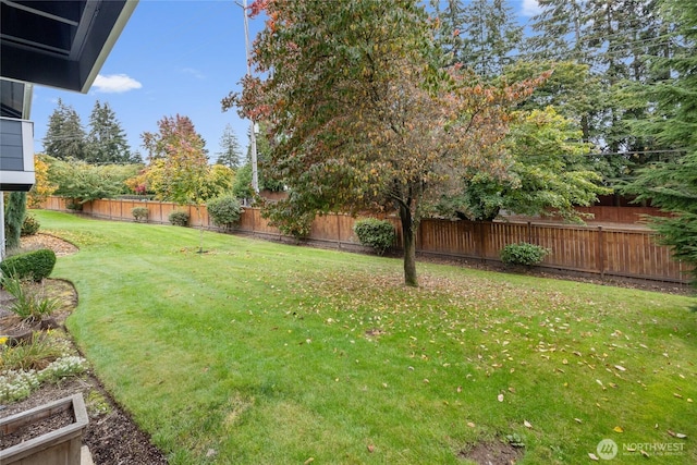 5822 N 35th St Unit C9, Tacoma, WA 98407 - view of yard
