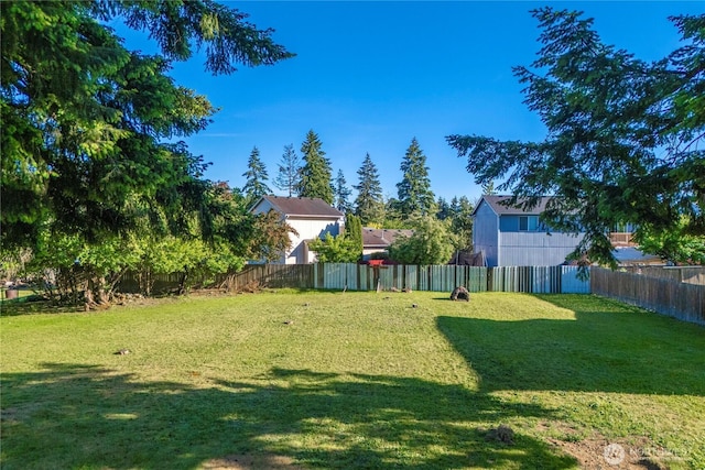 1416 S 88th St, Tacoma, WA 98444 - view of yard