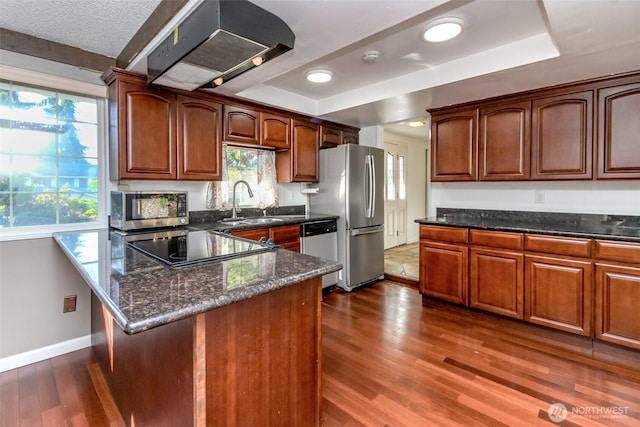 32622 39th Ave SW, Federal Way, WA 98023 - kitchen with stainless steel appliances, a raised ceiling, extractor fan, a sink, and wood finished floors