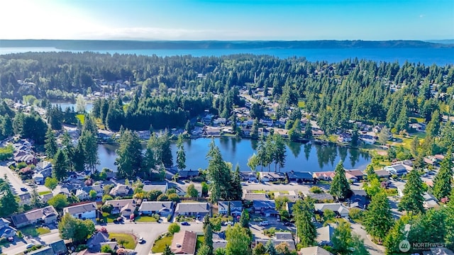 32622 39th Ave SW, Federal Way, WA 98023 - aerial overview of property's location with a forest, a large body of water, and nearby suburban area