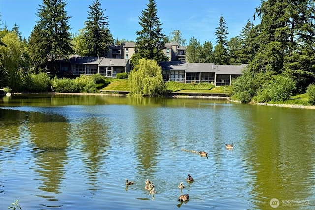6268 137th Pl NE Unit 244, Redmond, WA 98052 - water view