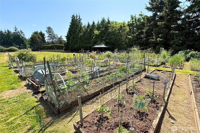 6268 137th Pl NE Unit 244, Redmond, WA 98052 - view of yard featuring a vegetable garden