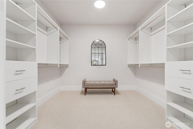 14511 SE 21st Pl, Bellevue, WA 98007 - walk in closet featuring light carpet