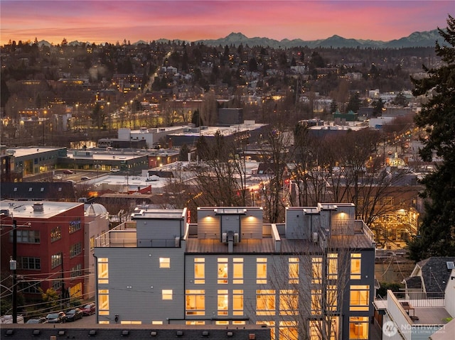 3609 Linden Ave N, Seattle, WA 98103 - photo 29