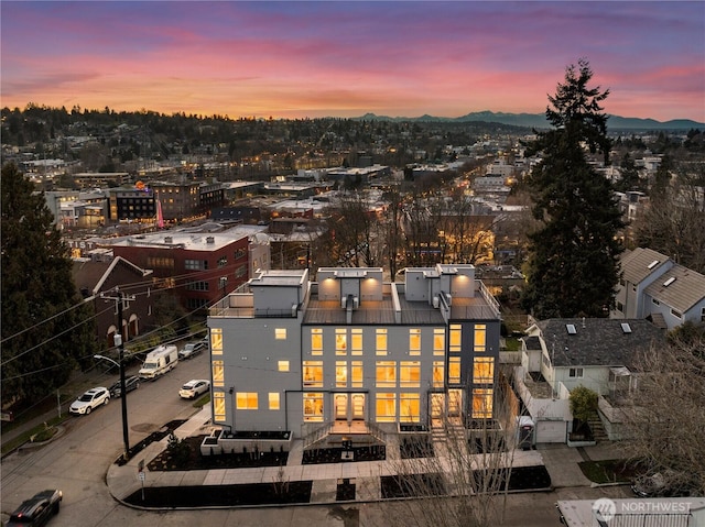 3609 Linden Ave N, Seattle, WA 98103 - photo 30