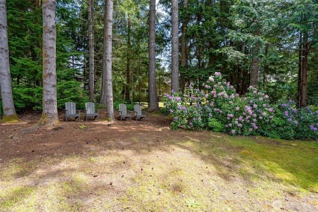 6579 Gleneagle Ave SW, Port Orchard, WA 98367 - view of yard