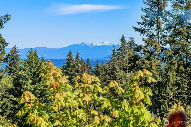 4906 157th Ave SE, Bellevue, WA 98006 - view of mountain background