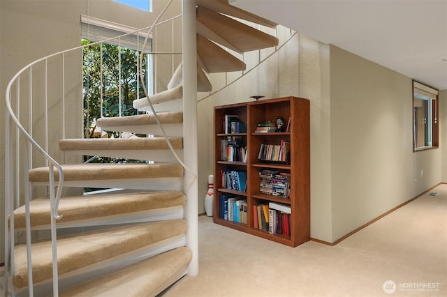 4906 157th Ave SE, Bellevue, WA 98006 - stairway with carpet and baseboards