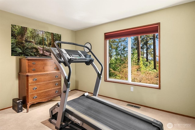 4906 157th Ave SE, Bellevue, WA 98006 - exercise area featuring light carpet and baseboards