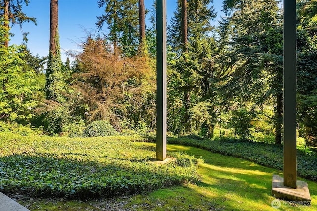 4906 157th Ave SE, Bellevue, WA 98006 - view of green lawn