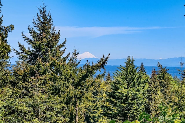 4906 157th Ave SE, Bellevue, WA 98006 - mountain view with a forest
