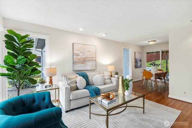 14817 Fremont Ave N, Shoreline, WA 98133 - living area featuring baseboards, plenty of natural light, wood finished floors, and a textured ceiling