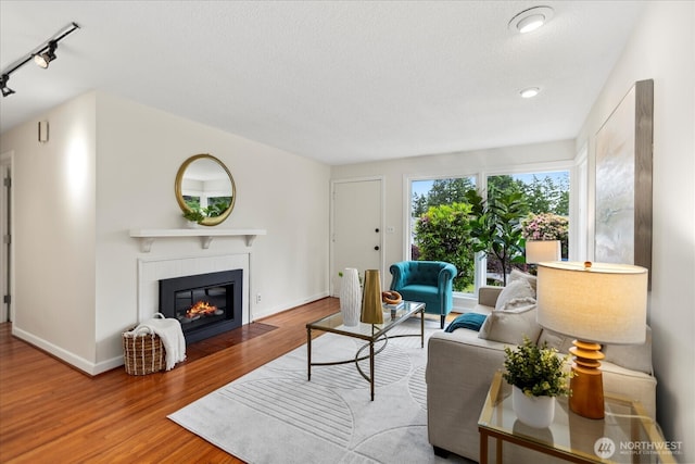 14817 Fremont Ave N, Shoreline, WA 98133 - living area with track lighting, wood finished floors, a fireplace with flush hearth, and baseboards