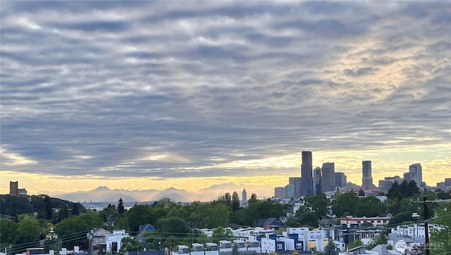 1109 30th Ave S, Seattle, WA 98144 - view of city