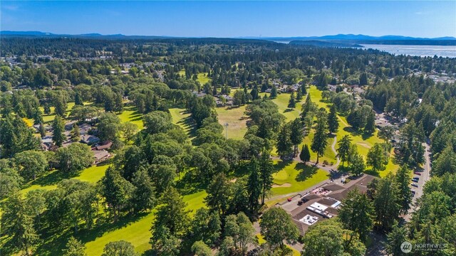 6812 Topaz Dr SW, Lakewood, WA 98498 - photo 40