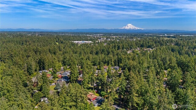 6812 Topaz Dr SW, Lakewood, WA 98498 - photo 38