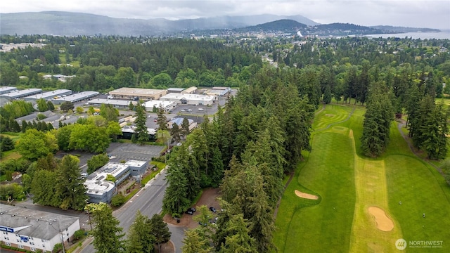 3729 Meridian St, Bellingham, WA 98225