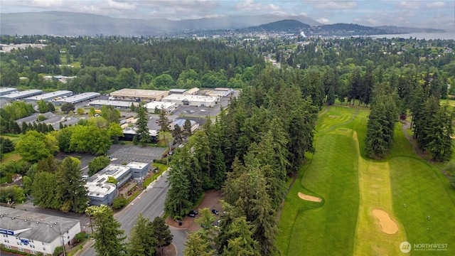 3729 Meridian St, Bellingham, WA 98225