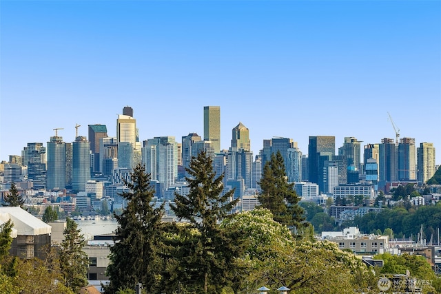 1203E N Allen Pl, Seattle, WA 98103 - photo 25