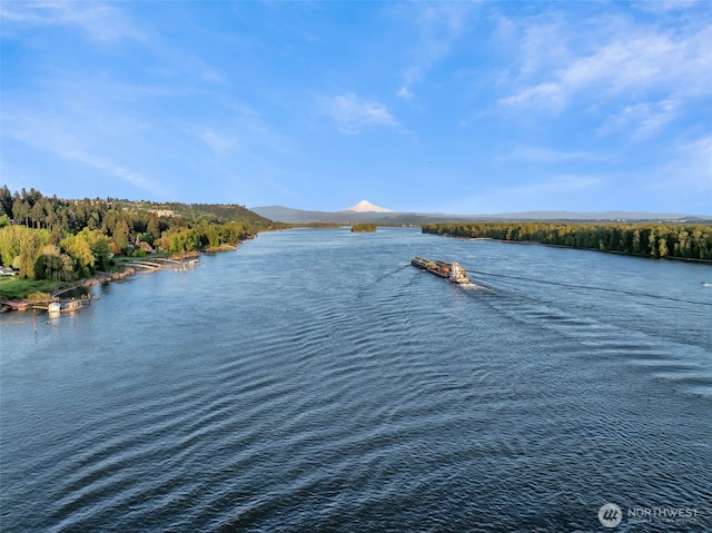 4412 SE 166th Pl, Vancouver, WA 98683 - photo 40