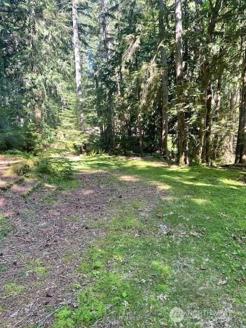 1001 N Potlatch Dr, Hoodsport, WA 98548 - photo 1