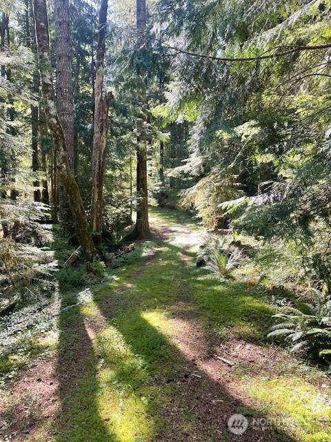 1001 N Potlatch Dr, Hoodsport, WA 98548 - photo 2