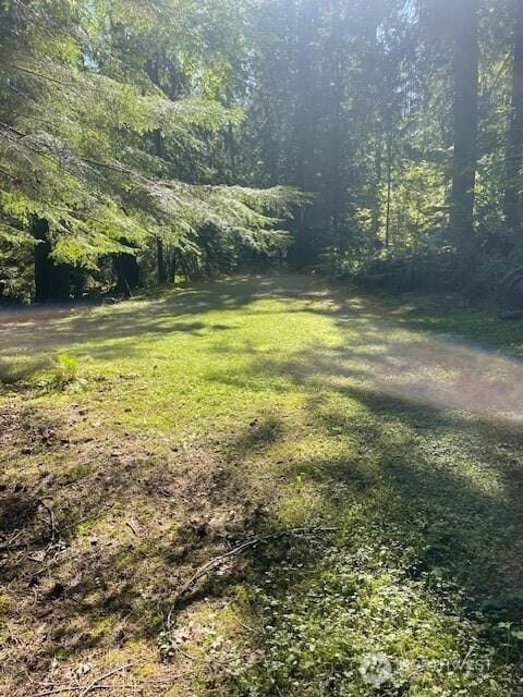 1001 N Potlatch Dr, Hoodsport, WA 98548 - photo 4