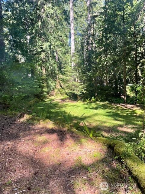 1001 N Potlatch Dr, Hoodsport, WA 98548 - photo 7