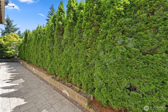7301 NE 155th St, Kenmore, WA 98028 - view of yard