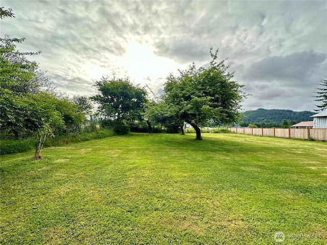 381 Trillium Ave, Forks, WA 98331 - view of yard