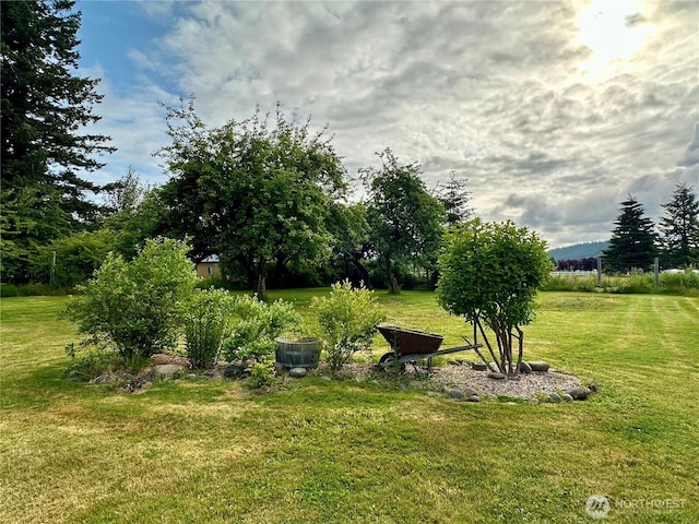 381 Trillium Ave, Forks, WA 98331 - view of green lawn