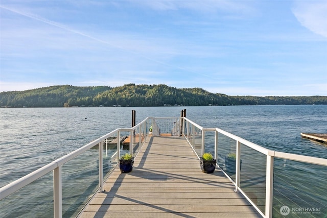 9451 E State Route 106, Union, WA 98592 - dock area with a water view and a wooded view