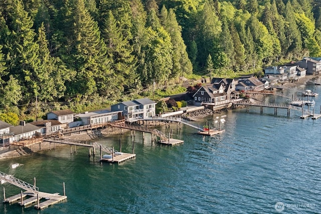 9451 E State Route 106, Union, WA 98592 - dock area with a water view and a view of trees