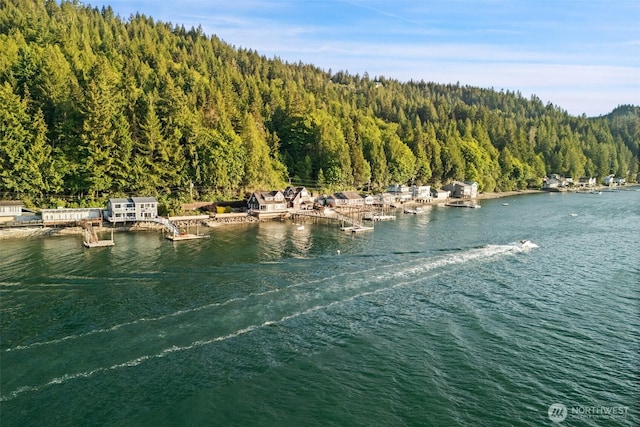 9451 E State Route 106, Union, WA 98592 - water view featuring a forest