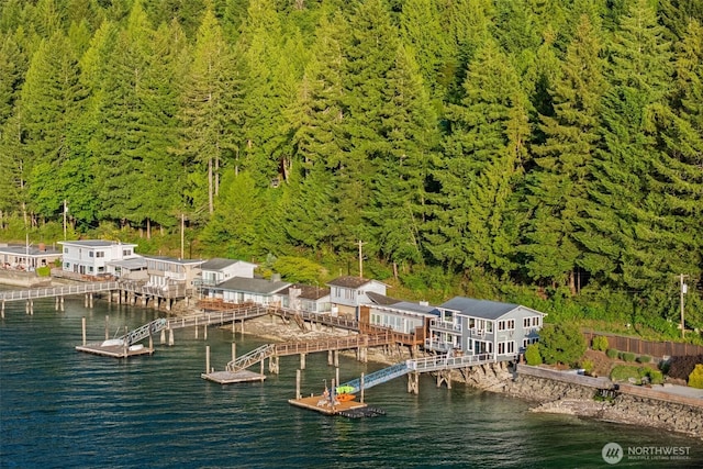 9451 E State Route 106, Union, WA 98592 - dock with a wooded view and a water view