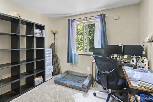 11420 232nd Avenue Ct E, Buckley, WA 98321 - view of carpeted home office