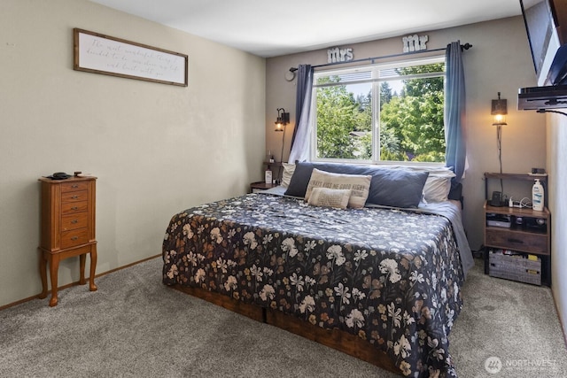 11420 232nd Avenue Ct E, Buckley, WA 98321 - view of carpeted bedroom