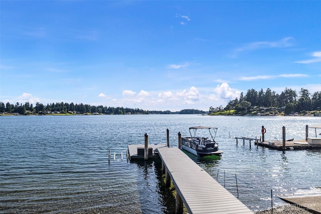 7708 Walnut St SW, Lakewood, WA 98498 - dock with a water view