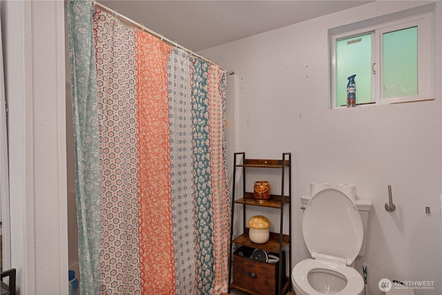 1741 NE Tahuya River Dr, Tahuya, WA 98588 - bathroom featuring toilet and a shower with shower curtain