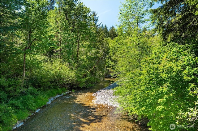 1741 NE Tahuya River Dr, Tahuya, WA 98588 - water view featuring a forest