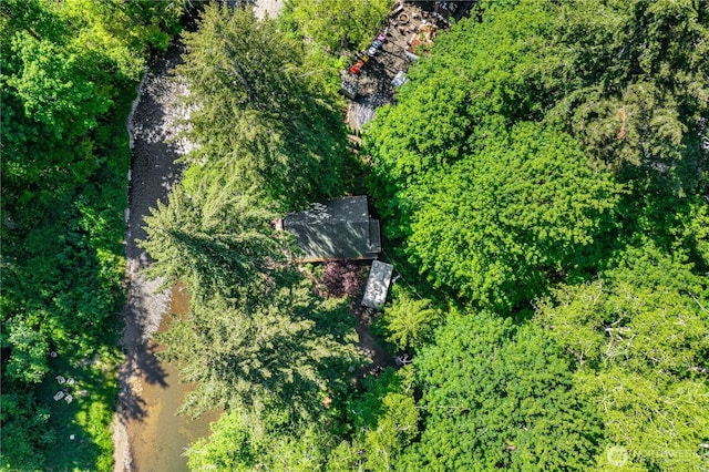 1741 NE Tahuya River Dr, Tahuya, WA 98588 - bird's eye view