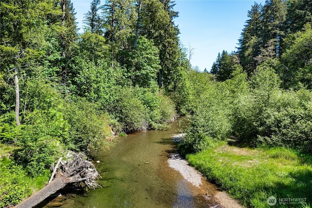 1741 NE Tahuya River Dr, Tahuya, WA 98588 - water view