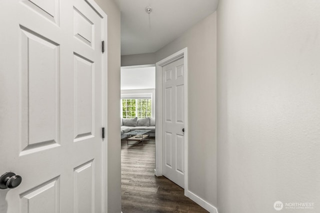 13629 26th Pl W Unit B104, Lynnwood, WA 98087 - hallway with dark wood-style floors and baseboards
