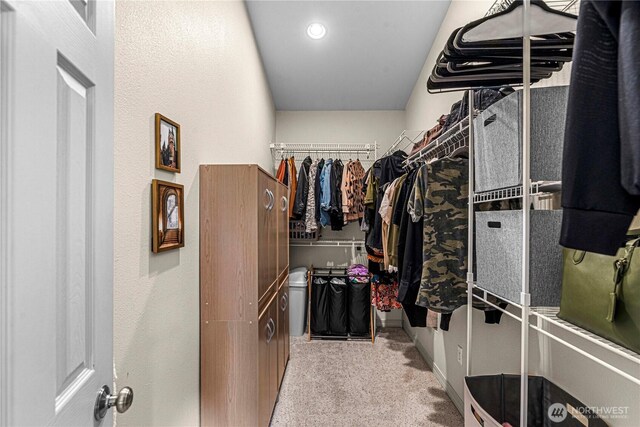 1324 Fairhaven Ave, Wenatchee, WA 98801 - walk in closet with carpet