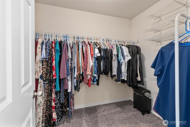 13327 SE 279th Pl, Kent, WA 98042 - spacious closet featuring carpet