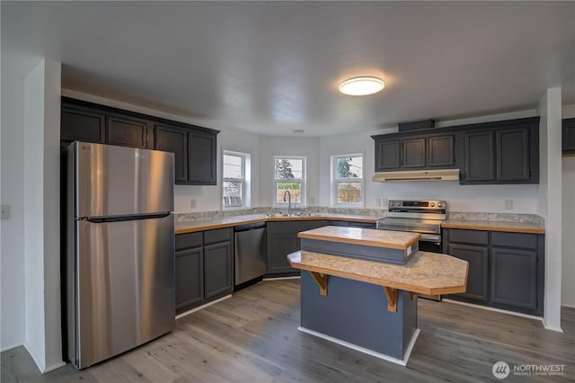 866 112th St S, Parkland, WA 98444 - kitchen with stainless steel appliances, under cabinet range hood, a sink, and wood finished floors