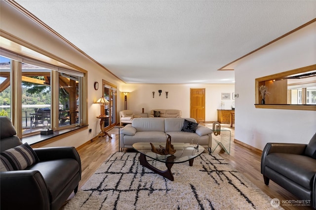295 Bayview Rd, Shelton, WA 98584 - photo 6