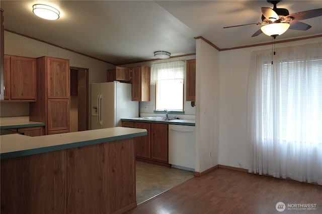 10711 62nd St E Unit 81A, Puyallup, WA 98372 - kitchen featuring white appliances, crown molding, light wood-type flooring, a sink, and vaulted ceiling