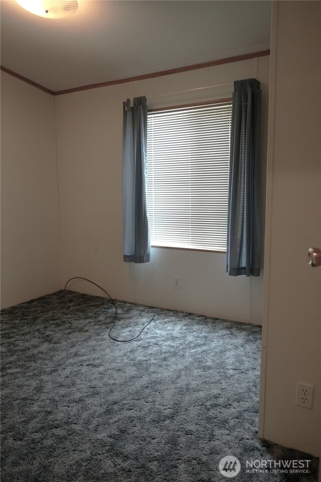 10711 62nd St E Unit 81A, Puyallup, WA 98372 - carpeted spare room with crown molding