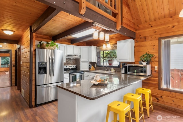 7755 NE Seawind Ave, Poulsbo, WA 98370 - kitchen featuring appliances with stainless steel finishes, a sink, wood walls, dark wood-type flooring, and under cabinet range hood